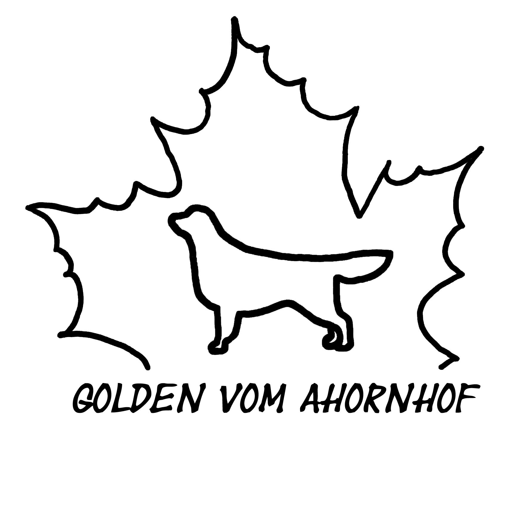 Golden Retriever vom Ahornhof