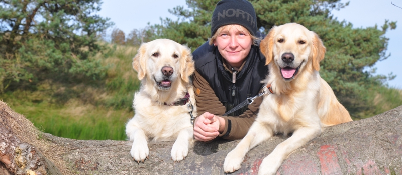 Pfotentreff - Die Hundeschule fr Potsdam, Werder und Umgebung